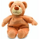 Plüsch Teddy