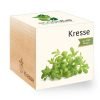 ecocube_de_kresse ecocube_de_kresse