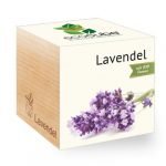 Ecocube LAVENDEL
