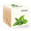 ecocube_de_minze