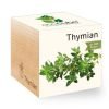ecocube_de_thymian ecocube_de_thymian