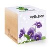 ecocube_de_veilchen