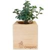 ecocube_oregano-gruppe ecocube_oregano-gruppe
